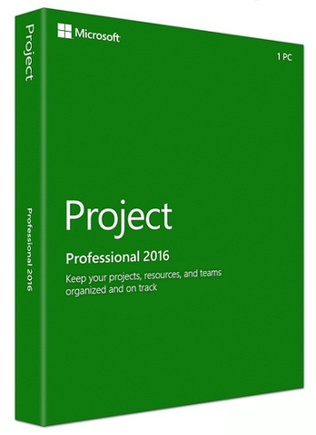 Microsoft Project 2016 Professional (PC)
