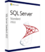 Microsoft SQL Server 2022 Standard