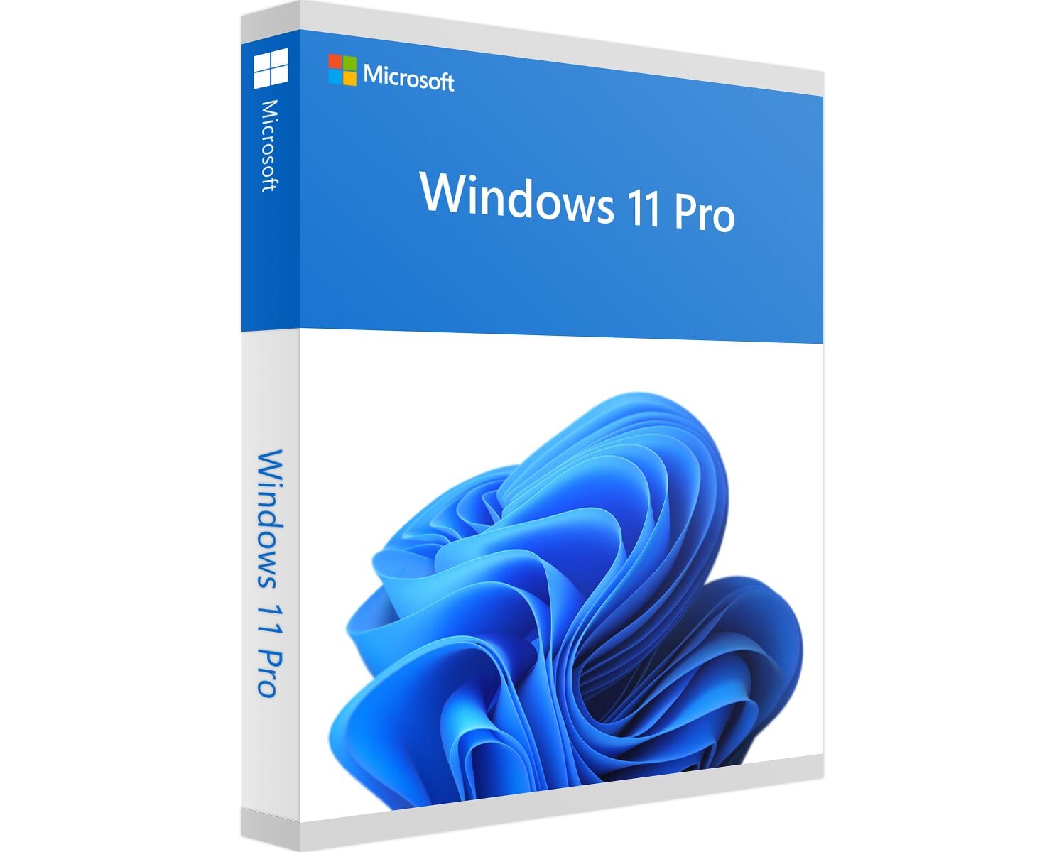Windows 11 Professional Retail Windows 11 Professional Retail