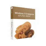 Windows 11 IoT Enterprise LTSC 2024