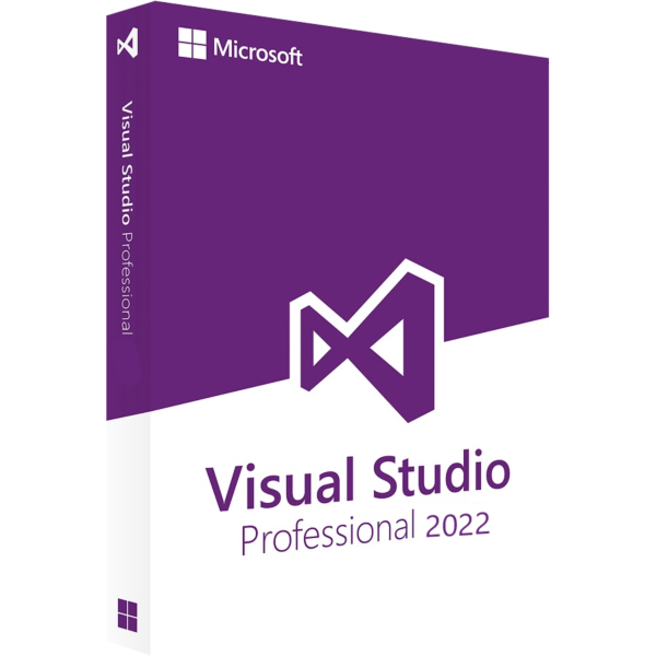 Microsoft Visual Studio Professional 2022 (PC)